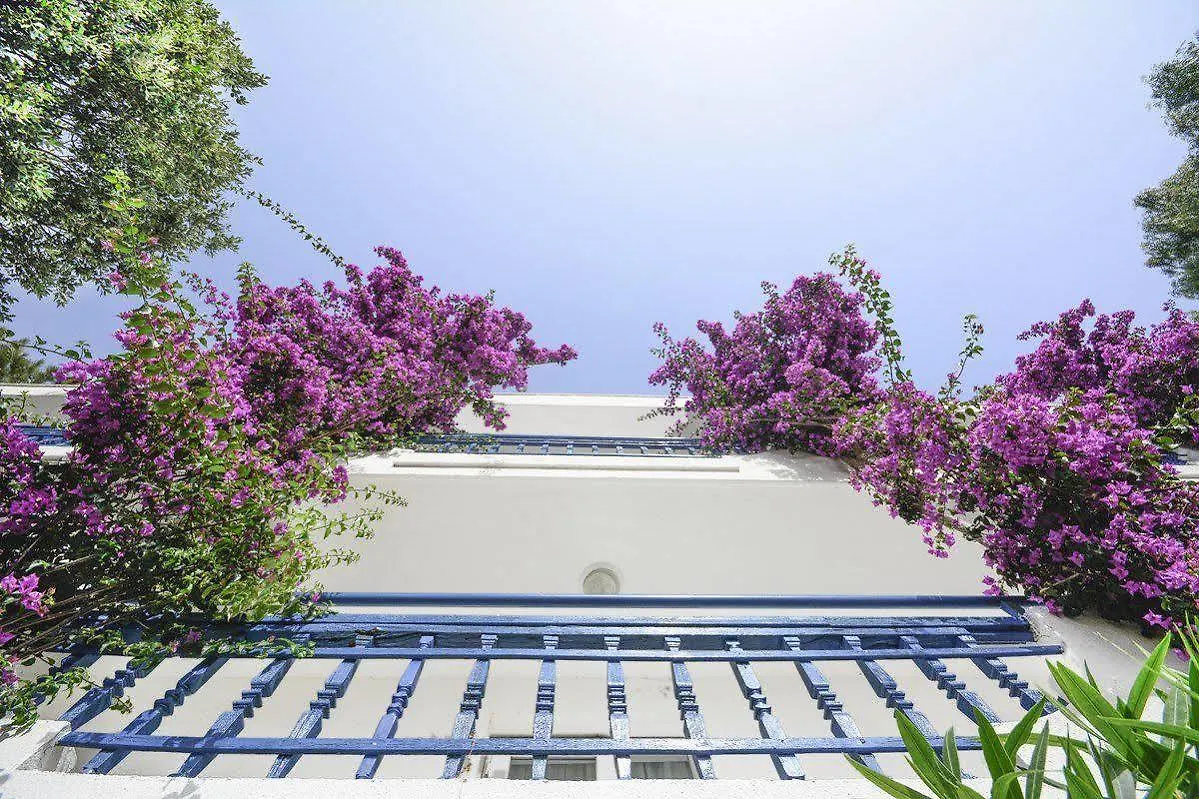 Hotel Club Blue White Bodrum Turchia